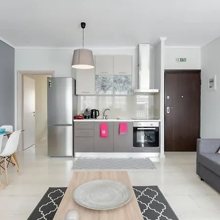 Apartment Penthouse In The Center
