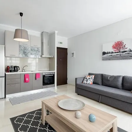 Penthouse In The Center Apartment *